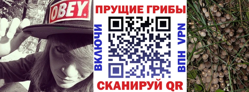 что такое наркотик  Миасс  Галлюциногенные грибы ЛСД 